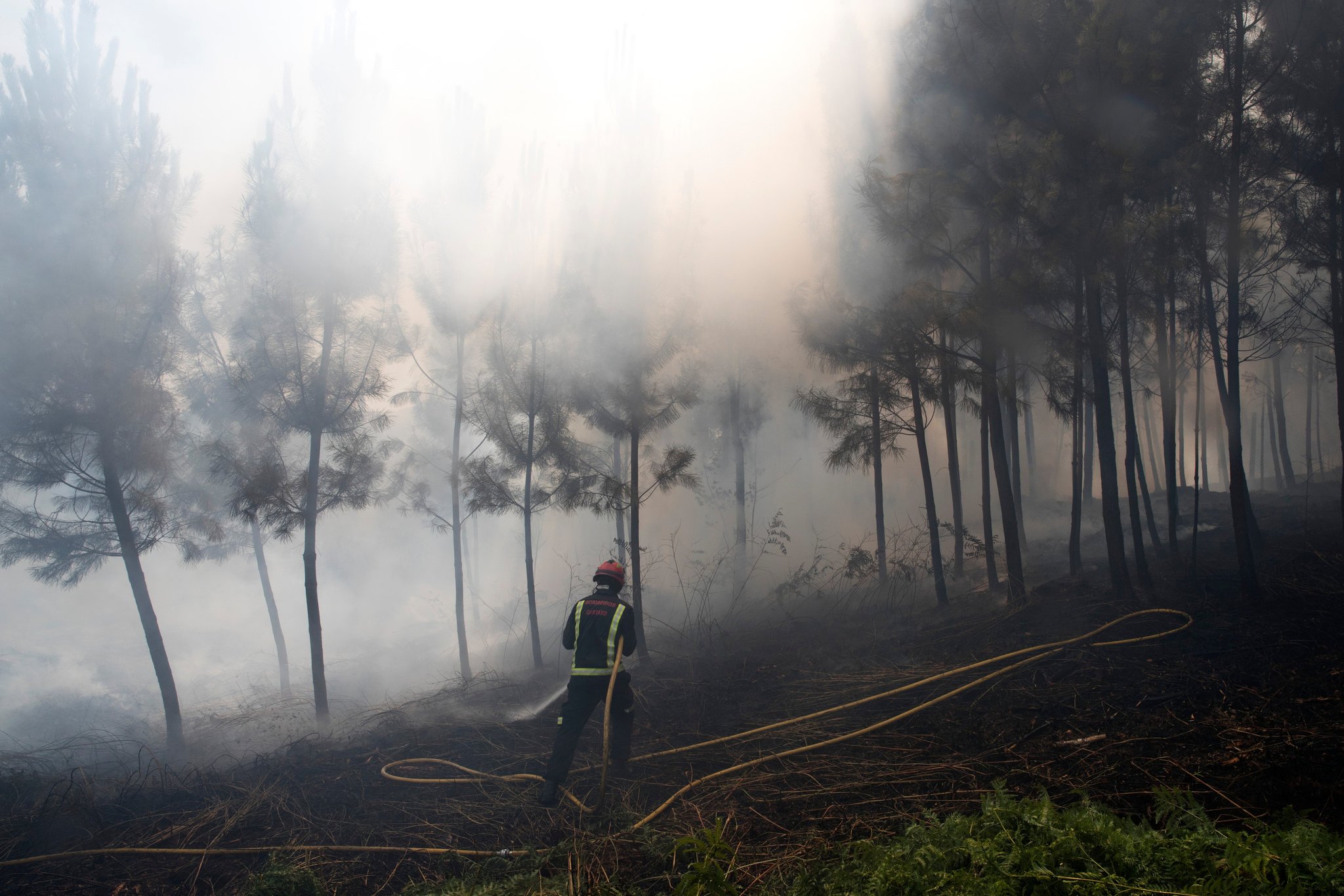 Plan Ahead For Wildfires Portugal Wildfires